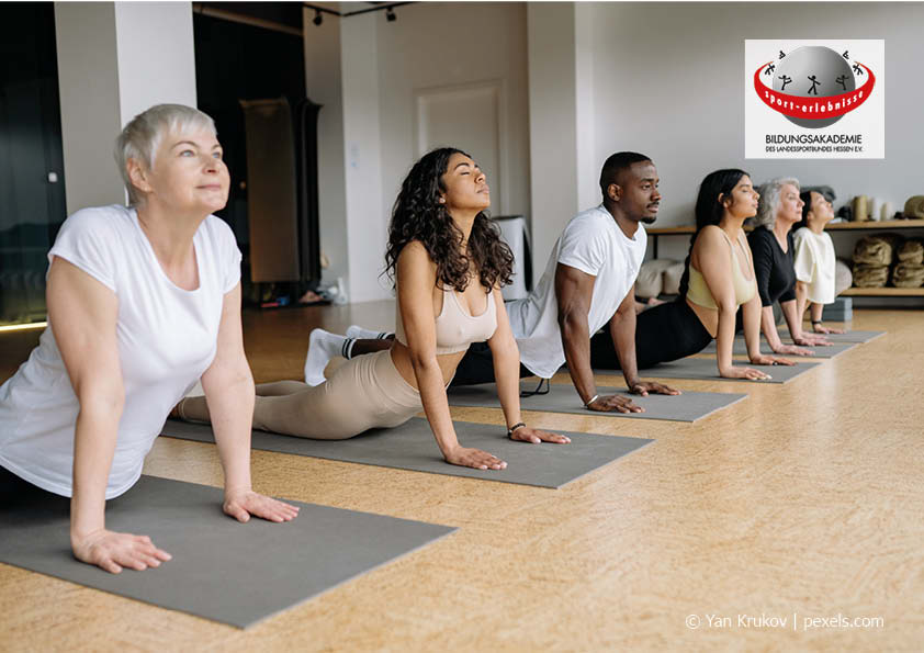 Eine Gruppe diverser Menschen Yoga Meditation Entspannung Achtsamkeit Gesundheit