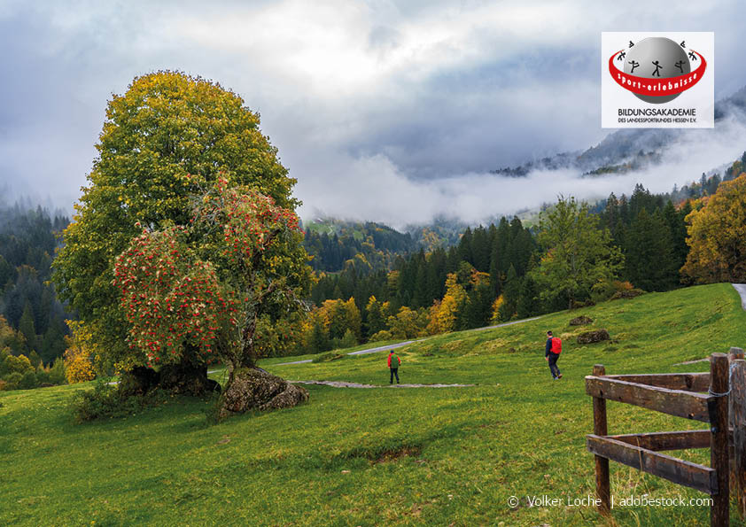 Zwei Wanderer im Herbst im Naturpark Nagelfluhkette Allgäu Bregenzer Wald Klima- und Naturschutz